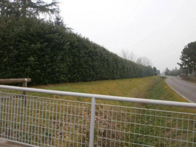 Immobile in asta di 313 m² con più di 5 locali in vendita a Cesena - Foto 5