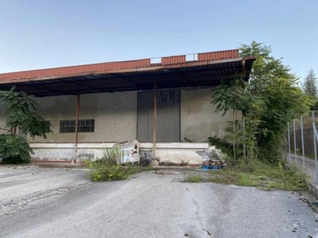 Immobile in asta di 2120 m² in vendita a Fontana Liri - Foto 4