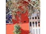 Bed & Breakfast Neapolis