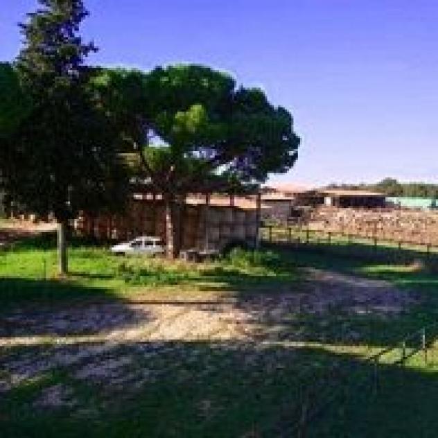 Relais La Roccaccia - Universita' Agraria - Foto 4