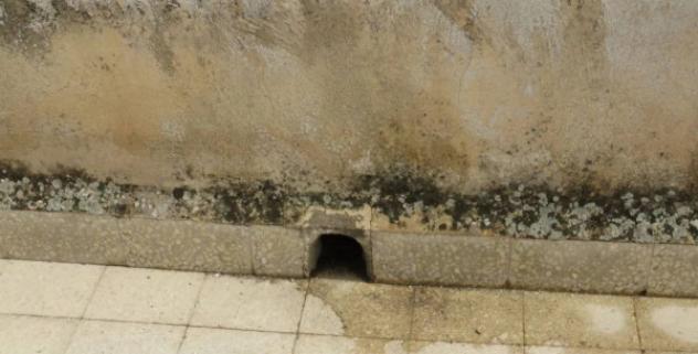 Immobile in asta di 48 m² in vendita a Scordia - Foto 8