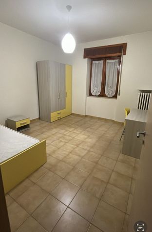 Fittasi camera singola a Potenza