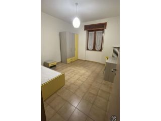 Fittasi camera singola a Potenza