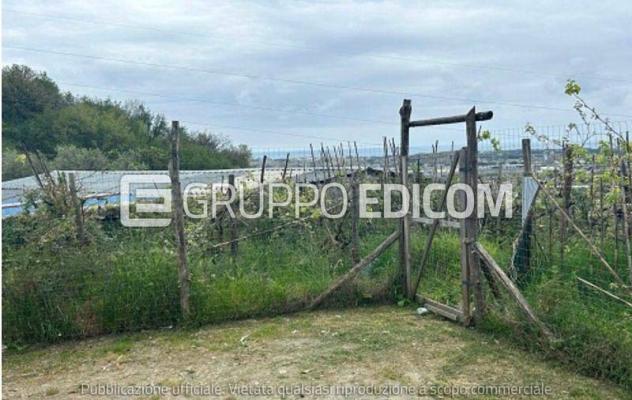 Terreno in vendita a Massa - Rif. 3559520 - Foto 5