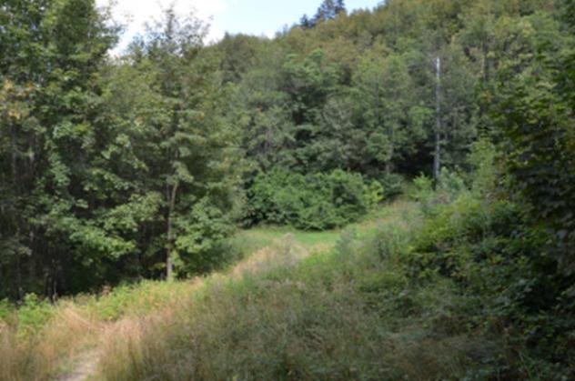Immobile in asta di 9162 m² in vendita a Sestola - Foto 2