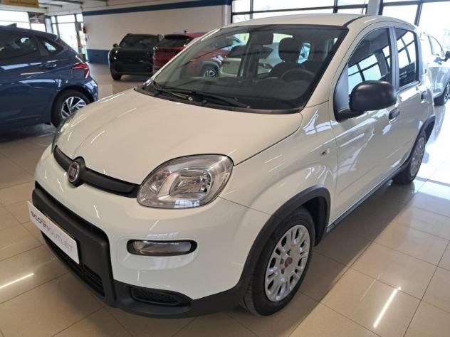 FIAT Panda III 2021 1.0 firefly hybrid s&s 70cv