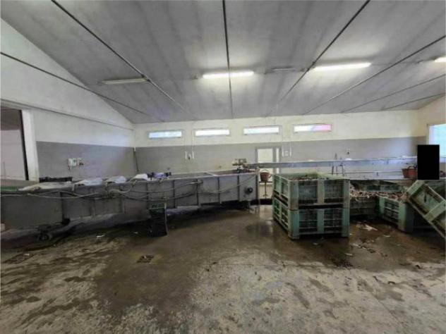 Immobile in asta di 40655 m² in vendita a Morgano - Foto 15