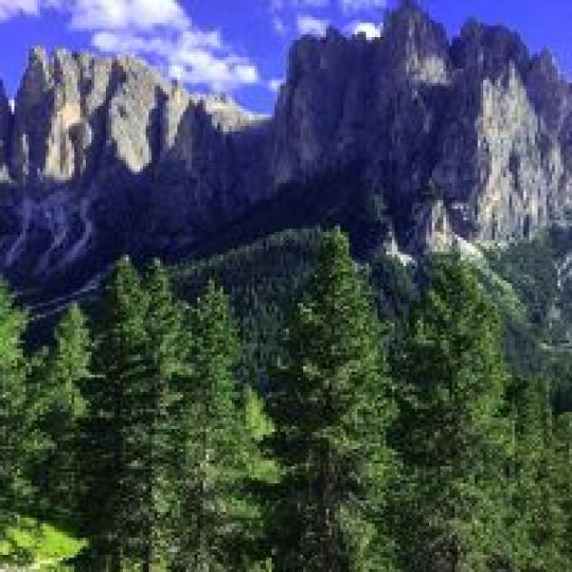 Rifugio Negritella - Foto 2