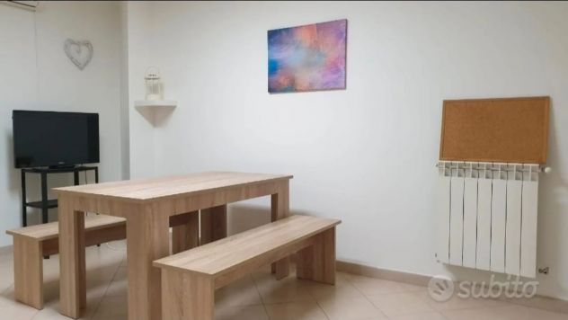 Singola Policlinico, Cittadella, Agraria, Torre Biologica, Morgagni, Ingegneria - Foto 3