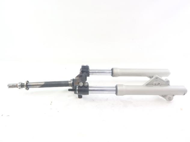MALAGUTI PASSWORD 250 01306650 FORCELLA ANTERIORE 05 - 06 FRONT FORK PARAOLIO DA SOSTITUIRE E STELO CON RUGGINE