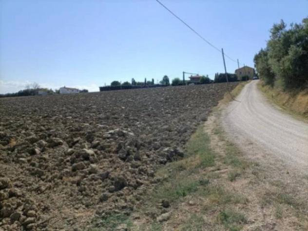 Immobile in asta di 15707 m² in vendita a Mondolfo - Foto 3
