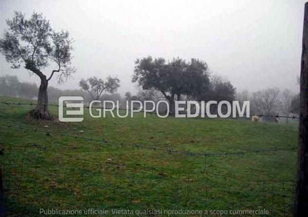 Terreno di 16835 mq in vendita a Montalto Uffugo - Rif. 4552507 - Foto 3