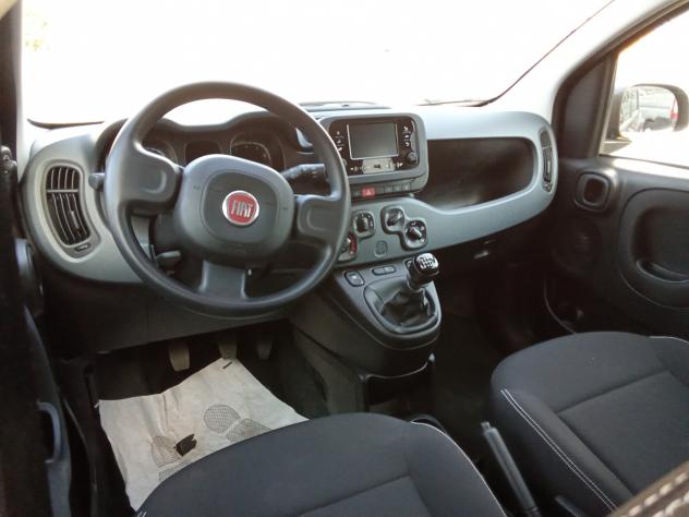 Fiat Panda 1.0 FireFly S&S Hybrid - Foto 5