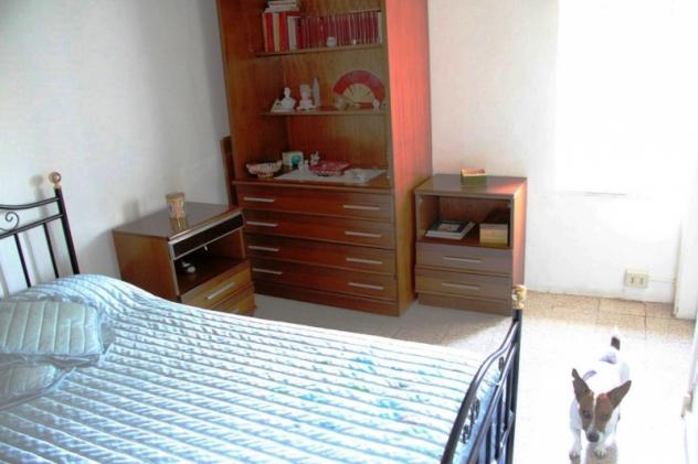 Bagnoregio - Vendesi appartamentino da ristrutturare con soffitta. Ottimo investimento a due passi da Civita di Bagnoregio. - Foto 8