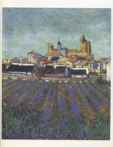 VAN GOGH - Foto 5