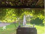 Appartamento in affitto a Calcinaia 40 mq  Rif: 1429448