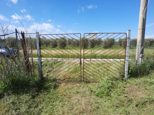 Terreno agricolo in vendita a Cascina 1900 mq Rif: 1266106 - Foto 4