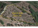 TERRENO AGRICOLO di 1200 mq (CASTIGLIONE DELLA PESCAIA) rif. 2315.317M