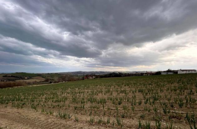 Immobile in asta di 15707 m² in vendita a Mondolfo - Foto 7