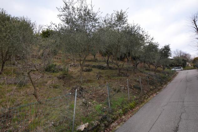 TERRENO AGRICOLO di 4807 mq (MONTEBELLUNA) rif. ZT38G_49 - Foto 14