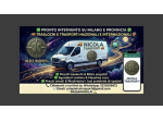 Traslochi e trasporti nazionali e internazionali