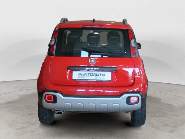FIAT Panda Cross Panda Cross 1.3 MJT 95 CV S&S 4x4 - Foto 5