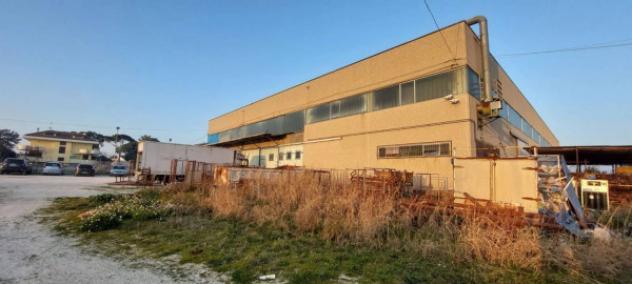 Immobile in asta di 5203 m² in vendita a Corropoli - Foto 5