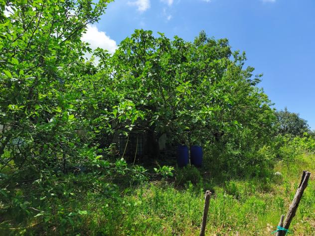 Agricolo in Contrada San Vincenzo - Foto 13