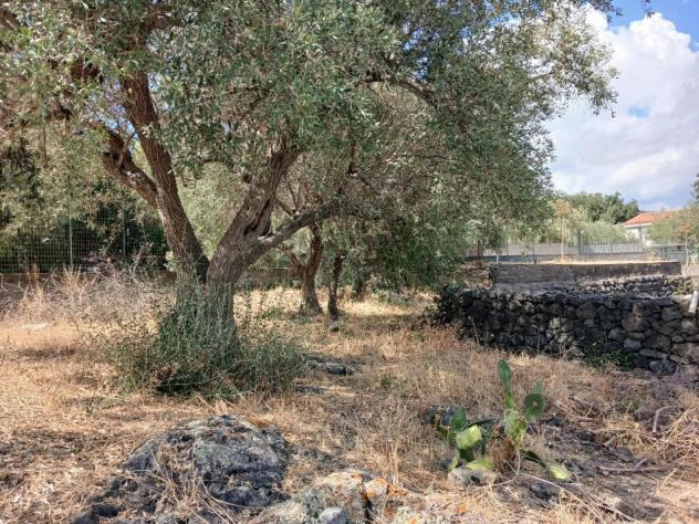 Agricolo in vendita a Misterbianco