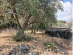 Agricolo in vendita a Misterbianco