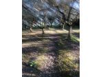 Terreno agricolo in vendita a Santa Lucia - Pontedera 3000 mq  Rif: 1403944