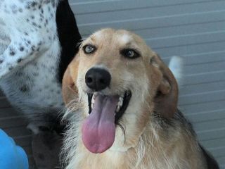 Samira bella e sorridente