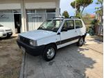 Fiat Panda 1000 4x4 METANO