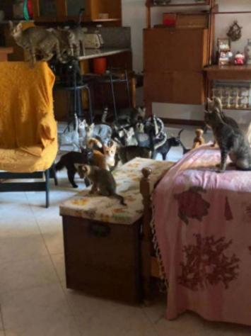 Immobile in asta di 148 m², box auto in vendita a Cerveteri - Foto 9