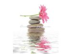 Corso Yoga Alliance formazione insegnanti Yoga RYT200 RYT300 RYT500