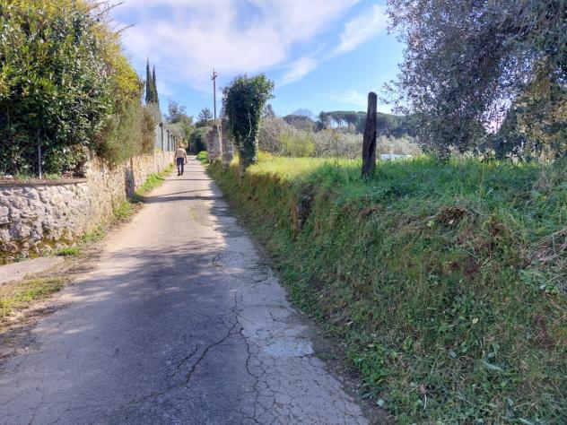 TERRENO AGRICOLO di 10000 mq (CAMAIORE - pieve di camaiore) rif. 1001 - Foto 19