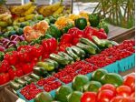 Alimentari in vendita a Empoli 20 mq  Rif: 1393829