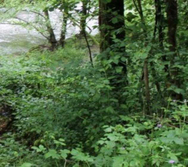 Immobile in asta di 20 m² in vendita a Besana in Brianza - Foto 3