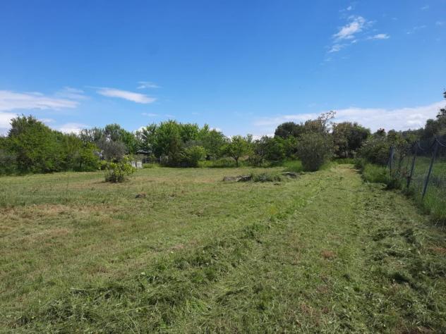 Terreno agricolo in vendita a Cascina 1900 mq Rif: 1266106
