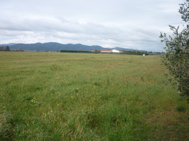 Terreno agricolo alla Rugginosina - GROSSETO- - Foto 7