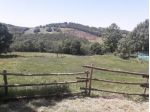 Terreno agricolo in vendita a Roccalbegna 400000 mq  Rif: 819906