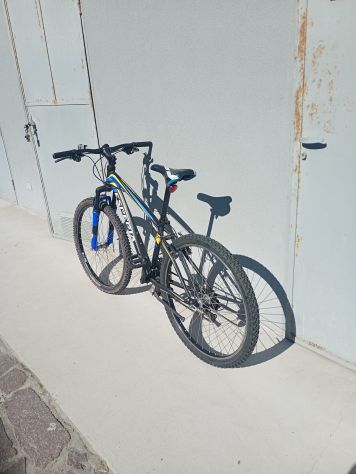 Bicicletta sentieri