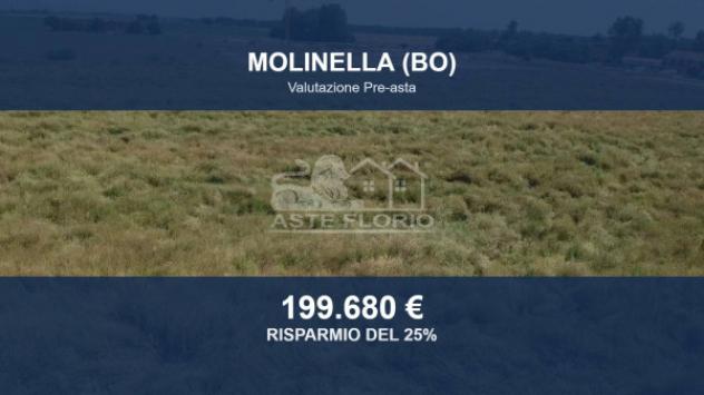 Immobile in asta di 34041 m² in vendita a Molinella