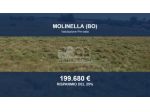 Immobile in asta di 34041 m² in vendita a Molinella