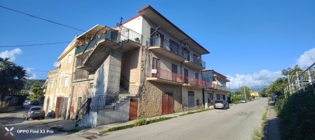 50 Grisi