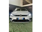 Volkswagen Golf GTI Performance 2.0 TSI 5p. BlueMotion Technology