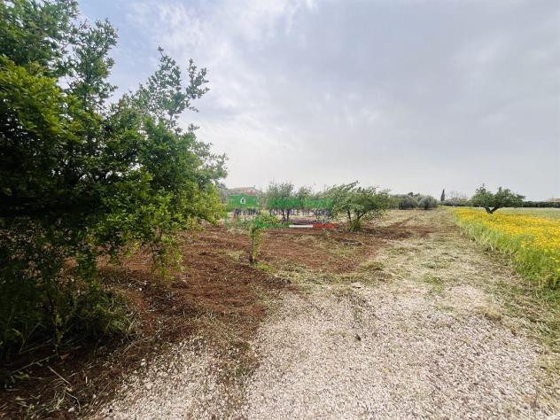 Rif. 2594 - Terreno con abitazione in vendita – Contrada Comuni, Comiso - Foto 5