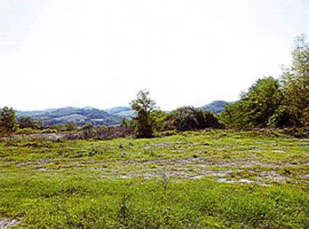 Immobile in asta di 4 m² in vendita a Acqualagna - Foto 9