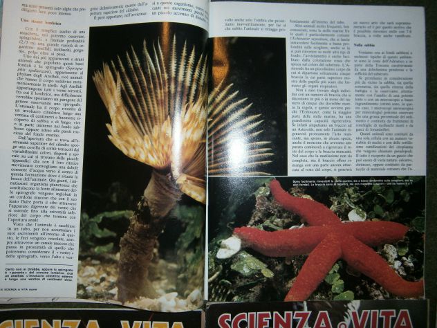 Riviste "Scienza & vita nuova. Mensile 1980 annata completa" - Foto 8