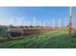 Terreno Agricolo - Malalbergo . Rif.: Cod. rif 3274228VCG